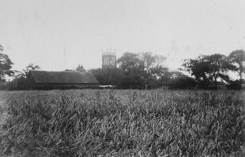 A History of Hall Lane pelsalltimes